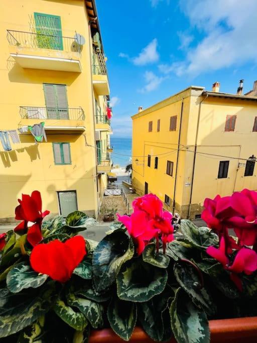 Maddy House - 50 Mt Dal Mare Villa Porto Santo Stefano  Ngoại thất bức ảnh